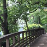건강검진 결과 당뇨 전단계 관리법에 따라 새벽 호수공원 산책
