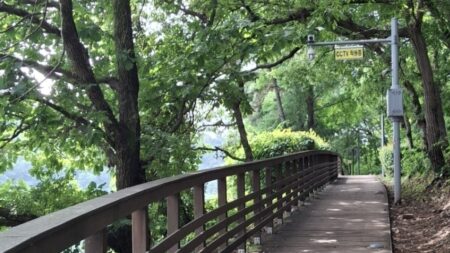 건강검진 결과 당뇨 전단계 관리법에 따라 새벽 호수공원 산책