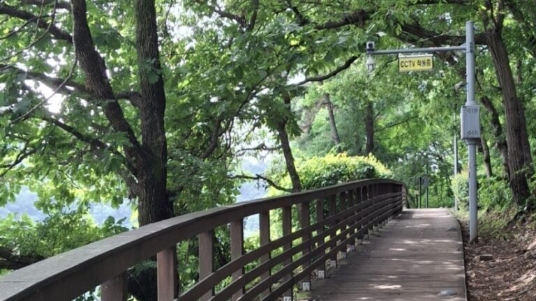 건강검진 결과 당뇨 전단계 관리법에 따라 새벽 호수공원 산책