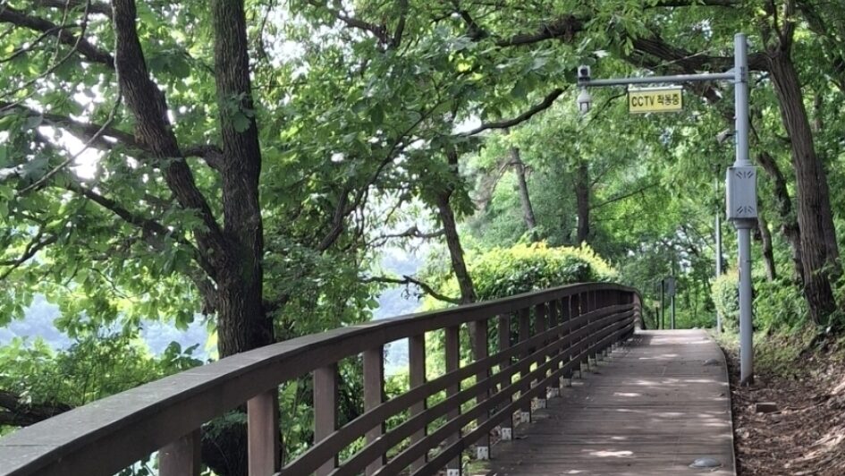 건강검진 결과 당뇨 전단계 관리법에 따라 새벽 호수공원 산책